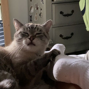 Meet your Posher, Kendall